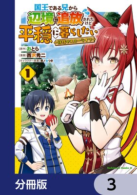 国王である兄から辺境に追放されたけど平穏に暮らしたい 〜目指せスローライフ〜【分冊版】 3