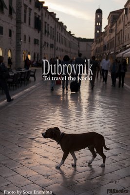 Dubrovnik ̿