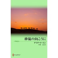 砂嵐の向こうに