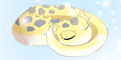 ����δ�̯����� ��61�áڥե륫�顼��