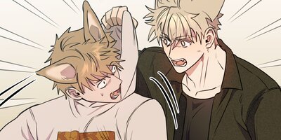 ���ॵ����27�áڥե륫�顼��