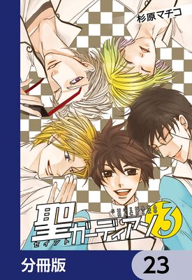 �������ǥ������ʬ���ǡ� 23