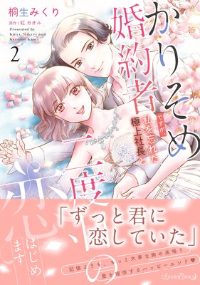 ���ꤽ�ầ��ԤǤ��������˺�줿�˾��Ĺ�������ܤ������Ϥ���ޤ�