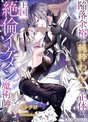 ���޳��դ��۴���;͵�ʽ���󤳤����Τϡ����������ѥ��������ѻդǤ���