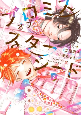 �ץ��ߥ����֥�����������