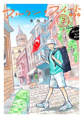 ���륿�󡦥������� ʬ���� 3��