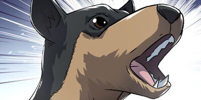 �����塼�륦������ 70�áڥե륫�顼��