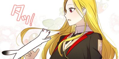 �ɤ������δꤤ�ϥ���󥻥�� ��50�áڥե륫�顼��