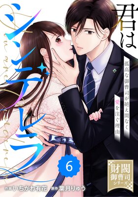 comic Berry’s君はシンデレラ〜孤高な御曹司が絶え間なく愛を注ぐ理由〜【財閥御曹司シリーズ】6巻