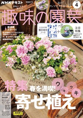 NHK ��̣�α�� 2025ǯ4���