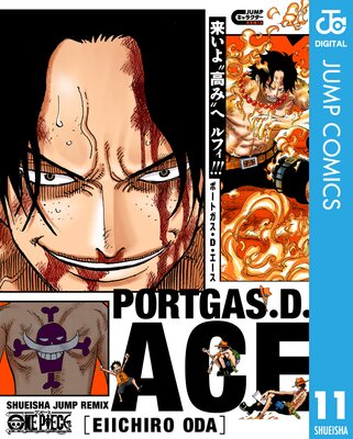 ONE PIECE ����饯������ߥå���