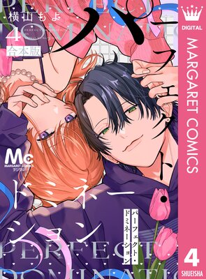 �ѡ��ե����ȡ��ɥߥ͡������ 4