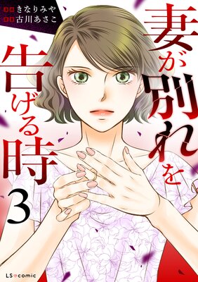 妻が別れを告げる時3