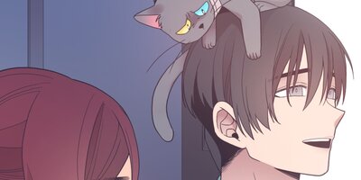 ˺�ѿ�Ʋ�Υ����� ��24�áڥե륫�顼��