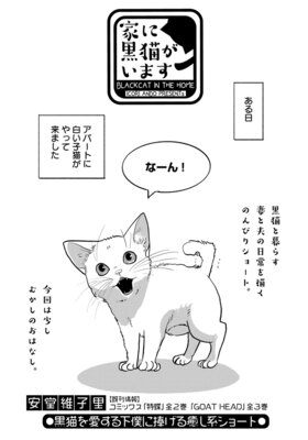 家に黒猫がいます<連載版>7話 クロとシロのこと