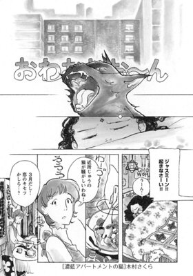 ǻ�����ѡ��ȥ��Ȥ�ǭ��Ϣ���ǡ�2�å����ʤΡ������ʤΡ�