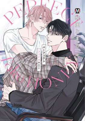 ѡեȥեϥˡڥߥåǡۤɽ