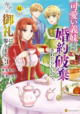 可愛い義妹が婚約破棄されたらしいので、今から「御礼」に参ります。3