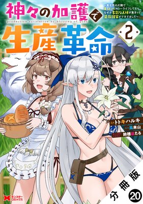 神々の加護で生産革命~異世界の片隅でまったりスローライフしてたら、なぜか多彩な人材が集まって最強国家ができてました~(コミック) 分冊版 20