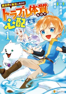 異世界に転生したけどトラブル体質なので心配ですの表紙