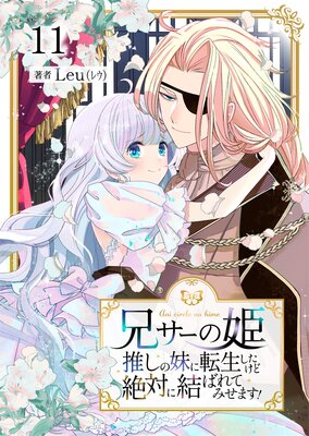 兄サーの姫~推しの妹に転生したけど、絶対に結ばれてみせます!~ 11