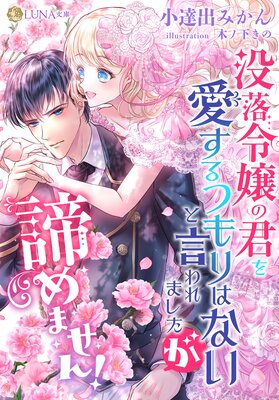 �������η��򰦤���Ĥ��Ϥʤ��ȸ����ޤ�����������ޤ���