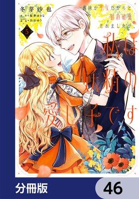 義妹が聖女だからと婚約破棄されましたが、私は妖精の愛し子です【分冊版】 46
