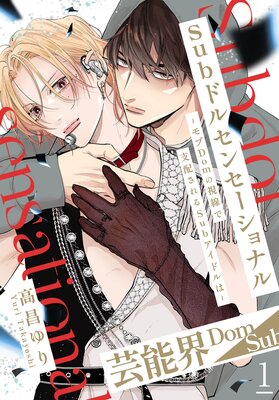 Subドルセンセーショナル～モブDomの視線で支配されるSubアイドルは～の表紙