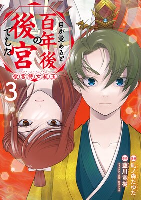 目が覚めると百年後の後宮でした 後宮侍女紅玉 3