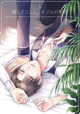 麗しきコンシェルジュの憂鬱の表紙