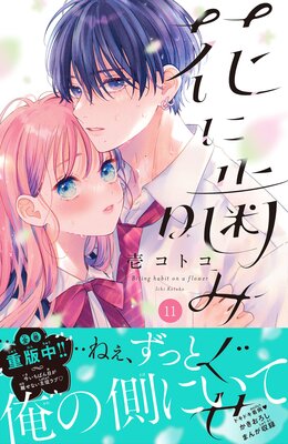 �֤˳��ߤ��� ʬ���� 11��