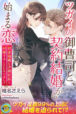ショートケーキは半分こで 突然姿を消した幼なじみが社長になっ
