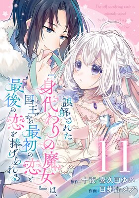 誤解された『身代わりの魔女』は、国王から最初の恋と最後の恋を捧げられる(コミック)【分冊版】 11
