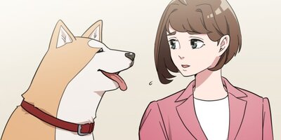 �⤷���ǽ��ɤ�ž��������ư�����ˤʤä���11�áڥե륫�顼��