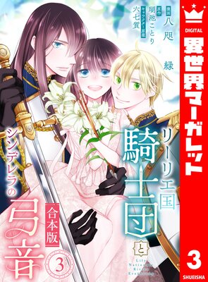 �ڹ����ǡۥ꡼�ꥨ�񵳻��Ĥȥ���ǥ��εݲ�