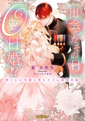 TL小説オパール文庫☆オペラ座の恋人 ★1～6巻全巻完結+番外編【シヲニエッタ】 TL小説オパール文庫☆オペラ座の恋人 ☆1～6巻全巻完結+番外編