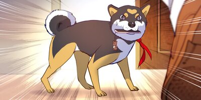 ��ž�� �ɥå��ȥ����ե塼���㡼 ��ͤ��������ˡڥե륫�顼��