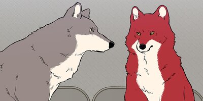 Woof Wolf�������ա������20�áڥե륫�顼��