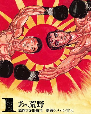 あゝ、荒野の表紙