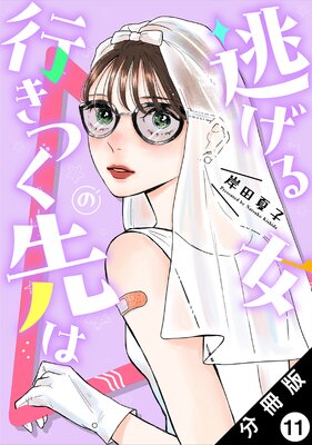 逃げる女の行きつく先は 分冊版 11