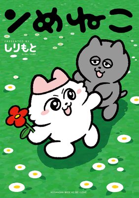 ���ͤ���ɽ��