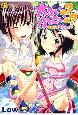 �礭���Ρ��������Ρ�����Ȥ���ä��餤����ɽ��