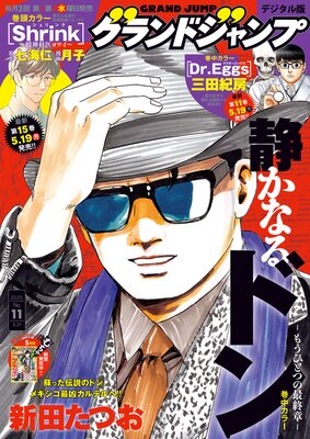 �����ɥ����� 2025 No.11