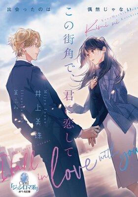 ���γ��Ѥǡ�����������