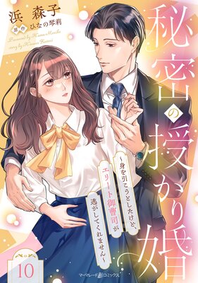 秘密の授かり婚~身を引こうとしたけど、エリート御曹司が逃がしてくれません~【分冊版】10話