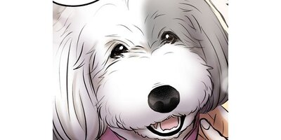 DOG SIGNAL�ڥ��ƥ����� Chapter109�ڥե륫�顼��