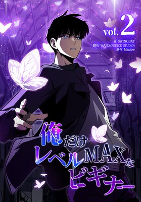 俺だけレベルMAXなビギナー(2)