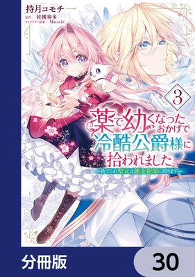 薬で幼くなったおかげで冷酷公爵様に拾われました ‐捨てられ聖女は錬金術師に戻ります‐【分冊版】 30