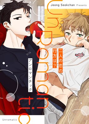 アンロマンチック～二人の恋の行方は？～の表紙