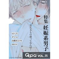 Qpa vol.35 妊娠系男子〜男たるもの盛ってなんぼ！